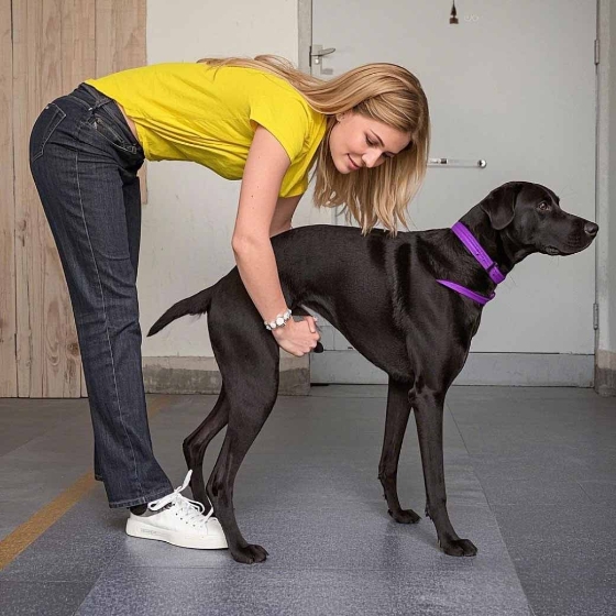 Heimlich Maneuver for Choking5