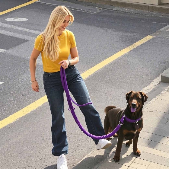 Leash training for sidewalk walks3
